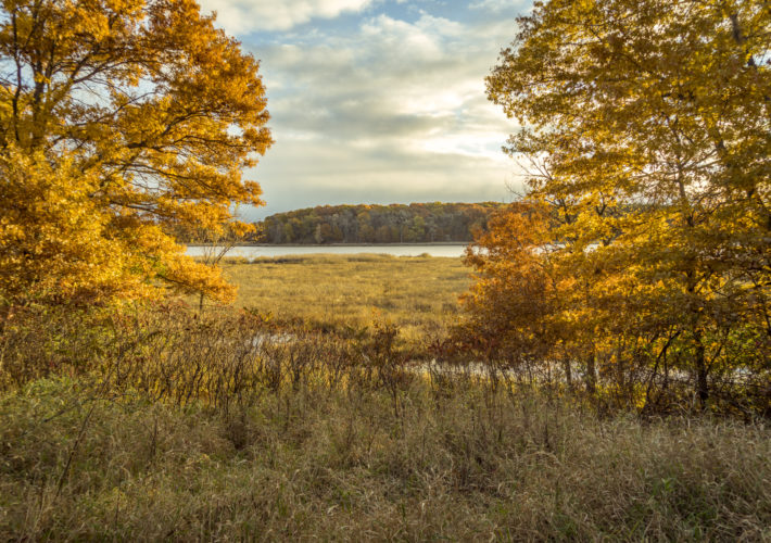 Sand Dunes State Forest