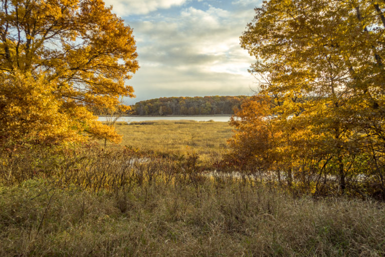 Sand Dunes State Forest