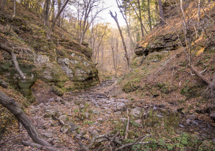 Water flowing through Parfrey's Glen