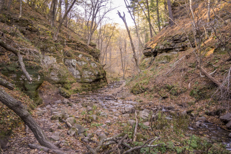 Water flowing through Parfrey's Glen