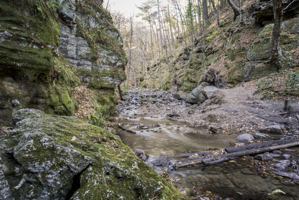 Water flowing through Parfrey's Glen