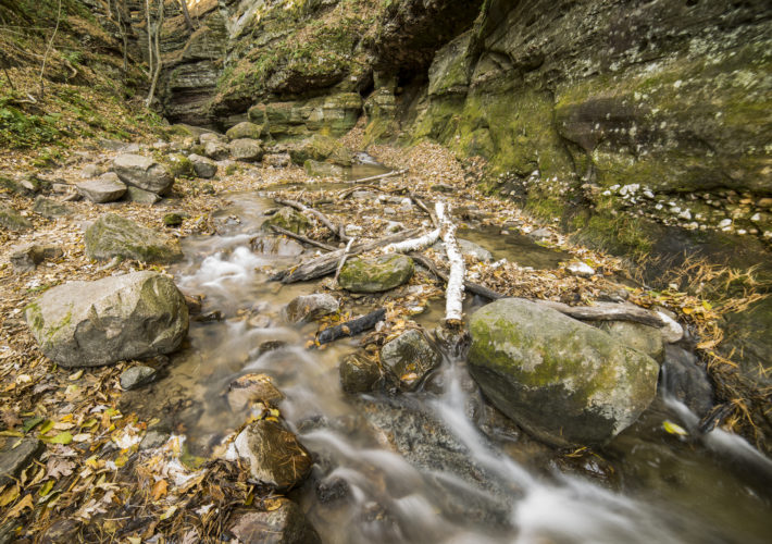 Parfrey's Glen