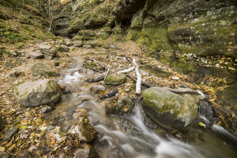 Parfrey's Glen