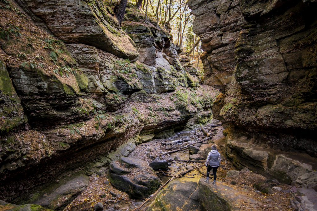 Autumn in Parfrey's Glen