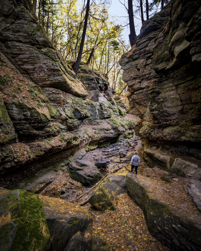 Autumn in Parfrey's Glen