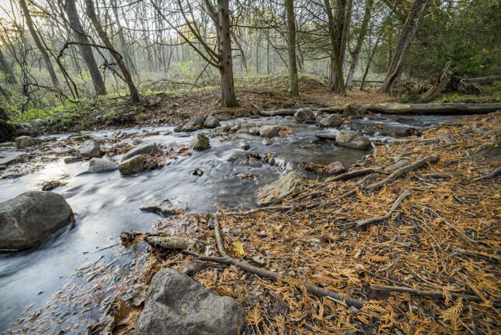 Parfrey's Glen Creek