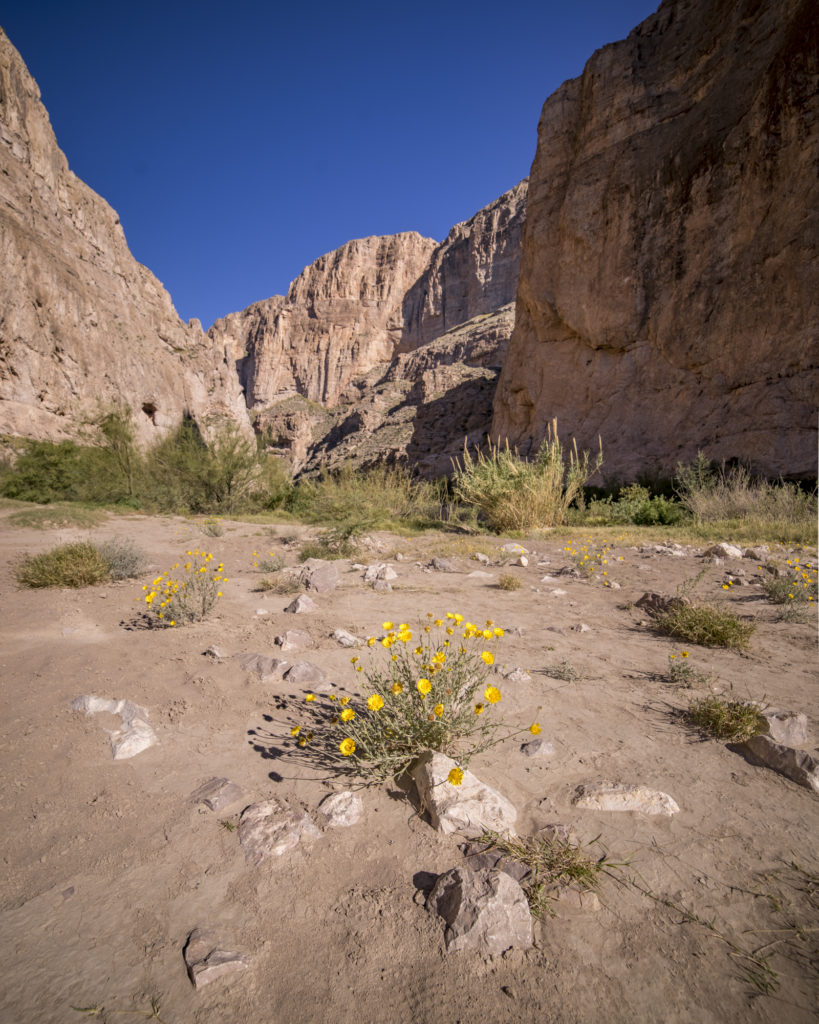 Boquillas Canyon