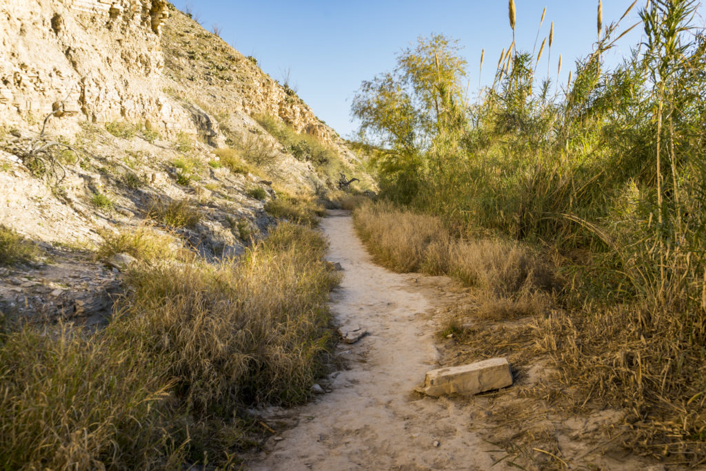 Hot Springs Trail in Big Bend National Park