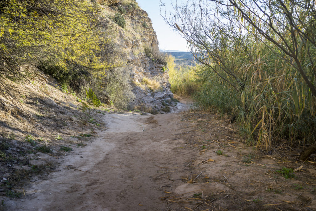 Hot Springs Trail in Big Bend National Park