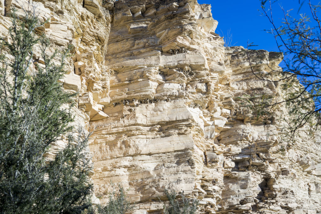 Big Bend National Park