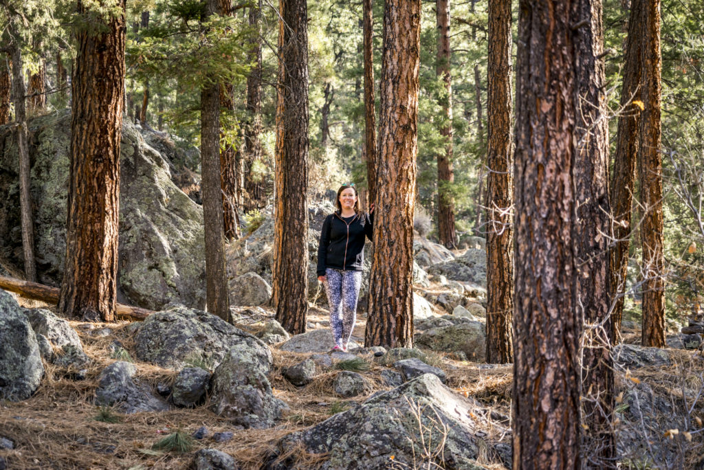 Santa Fe National Forest