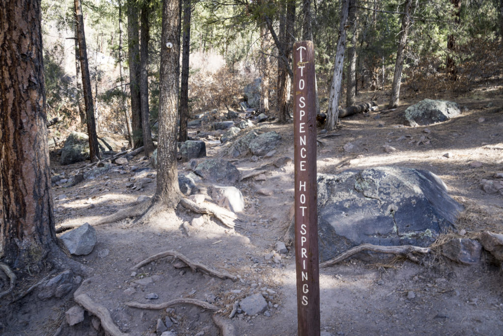 Spence Hot Springs Trail Markers