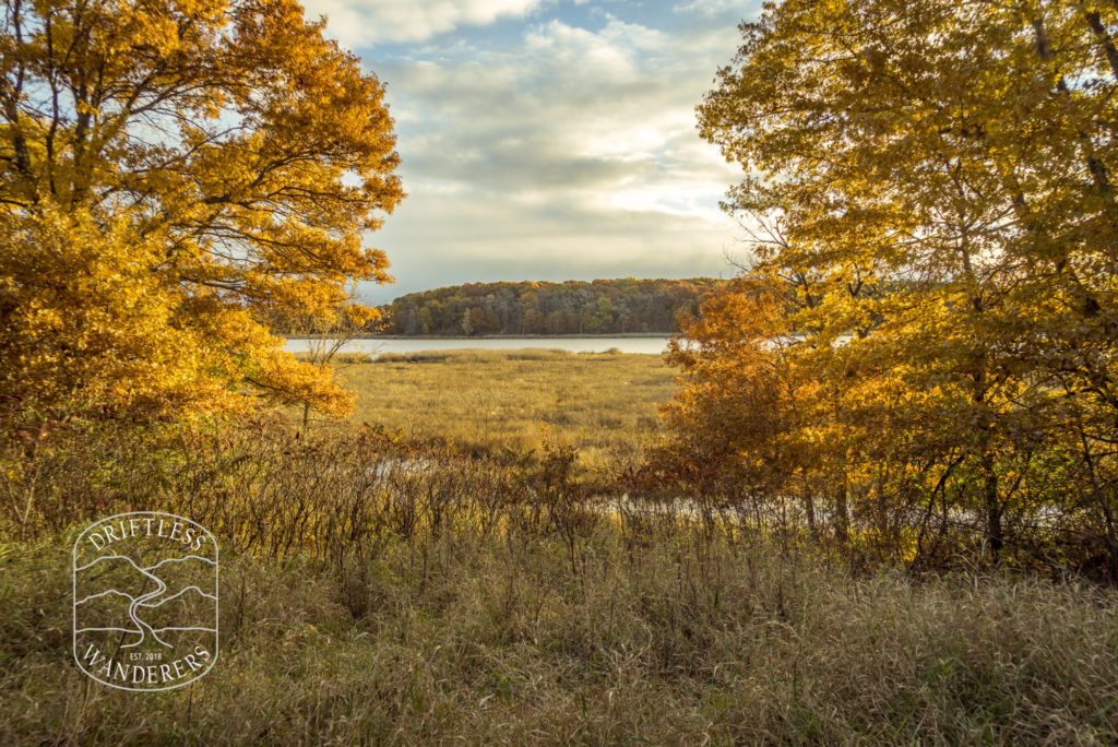 Watermark - Sand Dunes State Forest