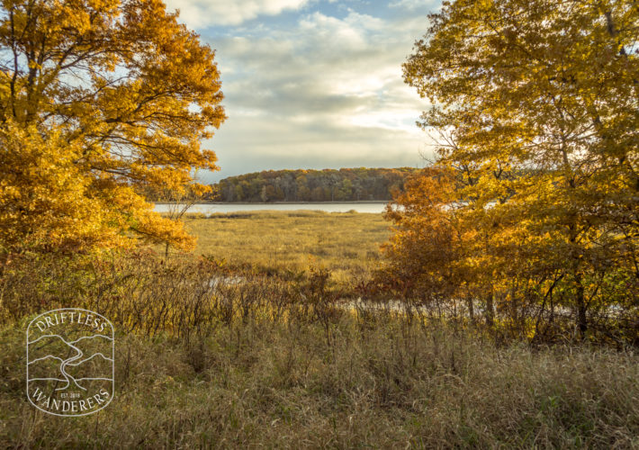 Watermark - Sand Dunes State Forest