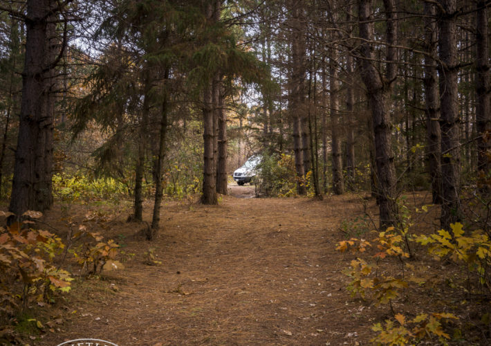 Sand Dunes State Forest