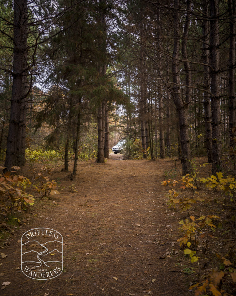 Sand Dunes State Forest