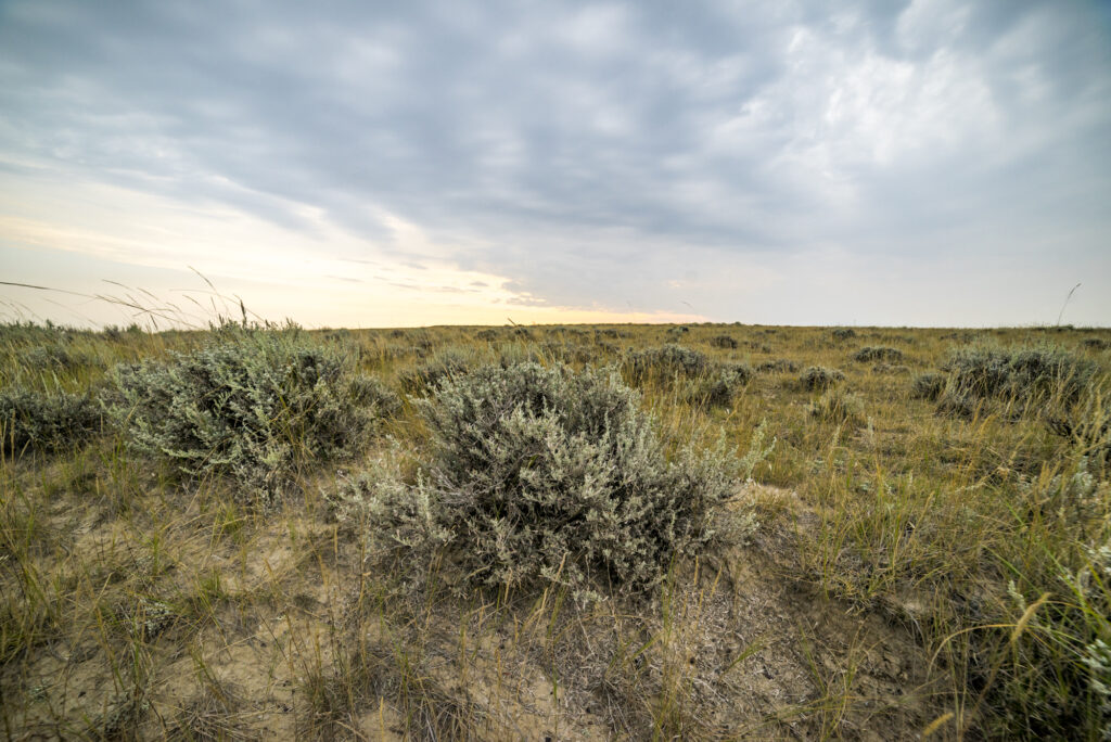 Thunder Basin National Grassland