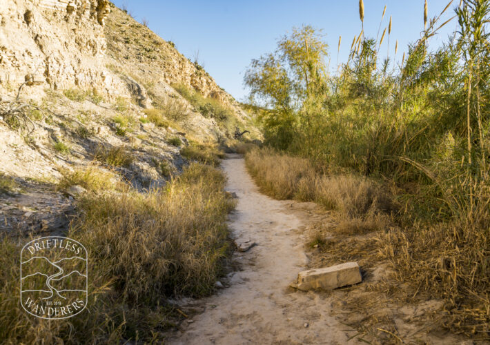 Trail to Abondoned Texas Hot Spring